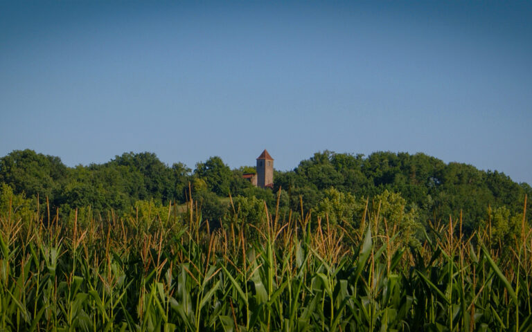 Paysage de Corneillan. Accueil du site